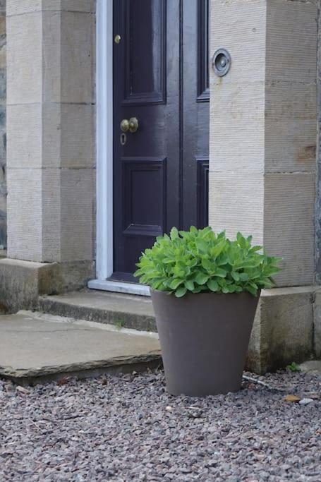 Stylish Scottish Manor, Coillemore House カイル・オブ・ロカルシュ エクステリア 写真