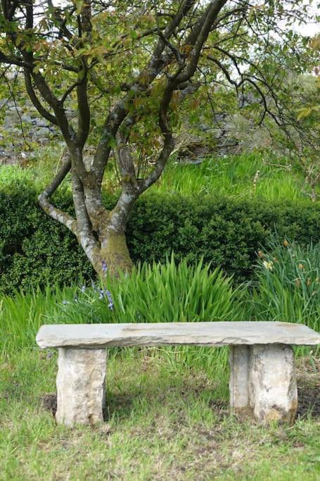 Stylish Scottish Manor, Coillemore House カイル・オブ・ロカルシュ エクステリア 写真