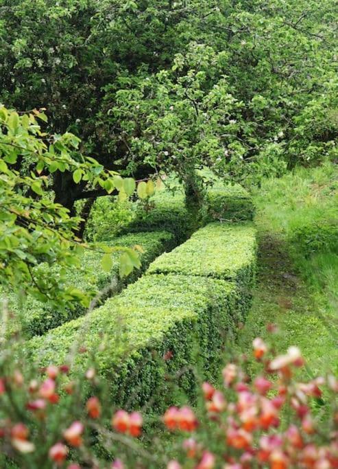 Stylish Scottish Manor, Coillemore House カイル・オブ・ロカルシュ エクステリア 写真